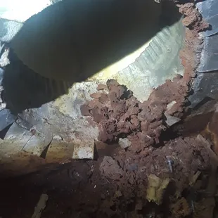 Termite tunnels coming out of seam in air duct