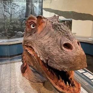 Dinosaur exhibit