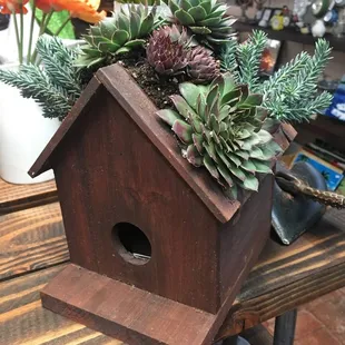 Western Sierra Nursery succulents birdhouse