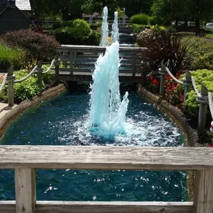 What a beautiful day