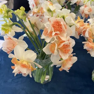 Bluebell House Flowers - such beautiful coral colors!