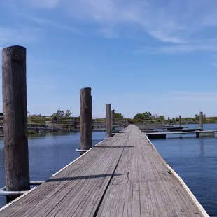 On the dock. Ready for a swim