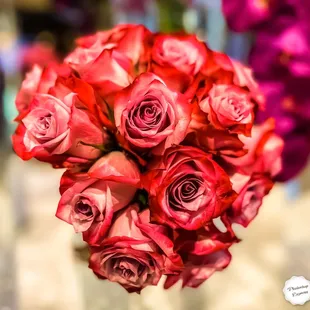 Embrace the special moments life grants you !