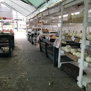 Good airflow &amp; lots of produce inside.