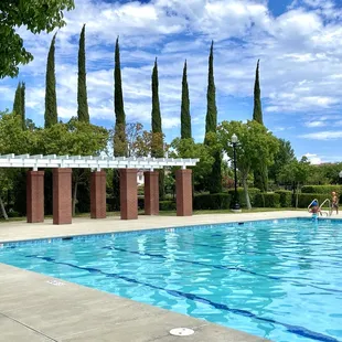 Gorgeous pool and setting