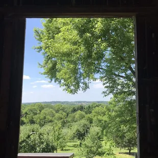 a view of the countryside through a window