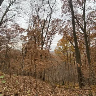 Rusty orange and brown hues against an overcast sky