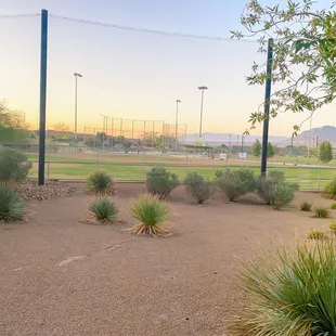 2 Large Baseball Fields