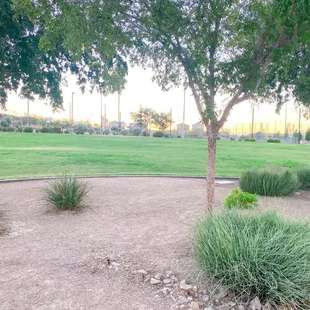 Beautiful green, grassy area