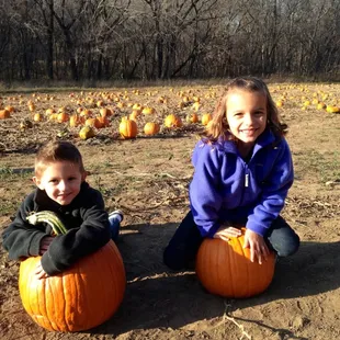 Happy pumpkin pickers.