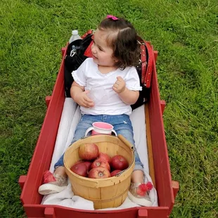 My daughter in her 1984 wagon eating apples looking for apples