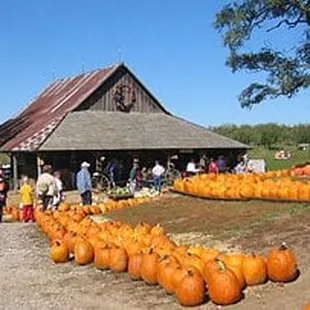 Image is taken from the website