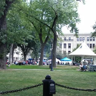 people sitting on the grass