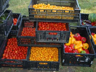 Walker Square Farmers Market