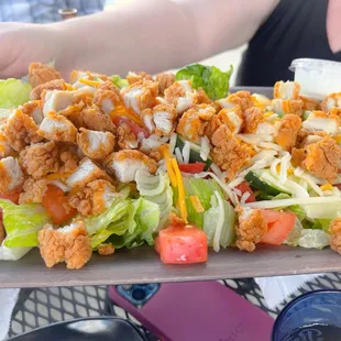 a plate of chicken salad