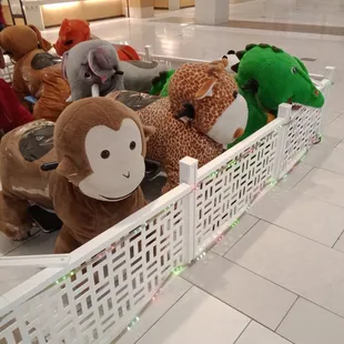Animal rides at our mall.