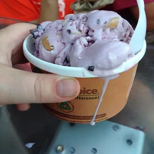 Amazon Treat Ice Cream (Acai berry ice cream with dark chocolate chips and salted cashews)