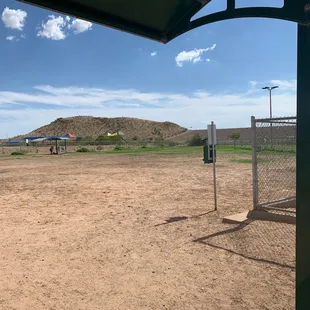 Large dog area