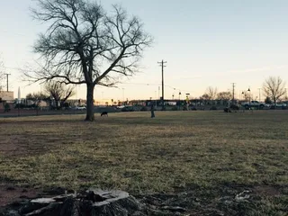 Bark Park