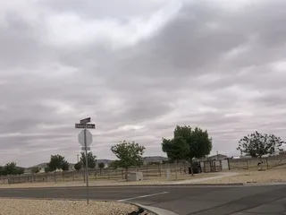 Replica Dog Park