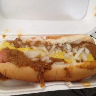 Coney dog with onion (there was a LOT of onions in this, they were mixed into the chili and mustard and even under the hot dog.