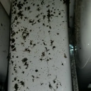 Example of the mold I found all over the racks in the beer cooler.
