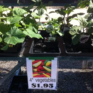 Cheaper than home depot!