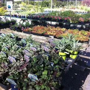 If you can find what you need here.. I dont know where I can tell you to look!