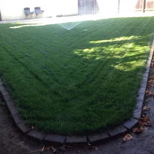 Right after first cut 3 weeks later