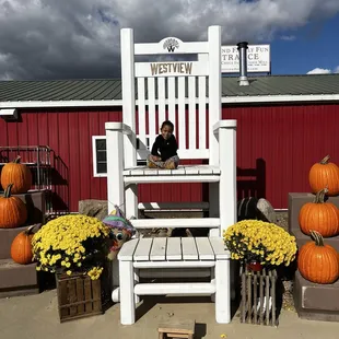 Front instance perfect picture area