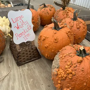 pumpkins for sale