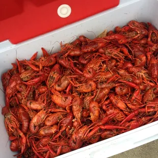 200 pounds of crawfish ordered for Mother&apos;s Day. Delish!