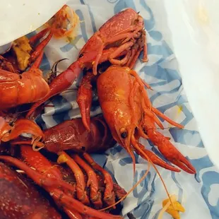Crawfish!