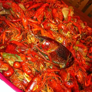 paella, food