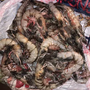 Large shrimp