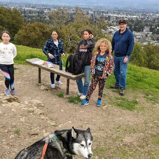 Great views at the top, trails are good for leashed dogs