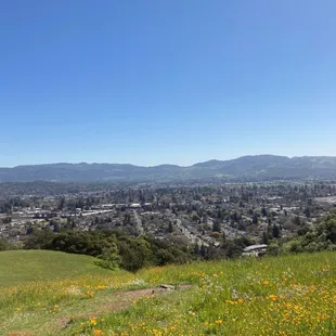 View from the top! It's about 1 mile up, and 2 miles total.  Work off calories, before your wine tasting!
