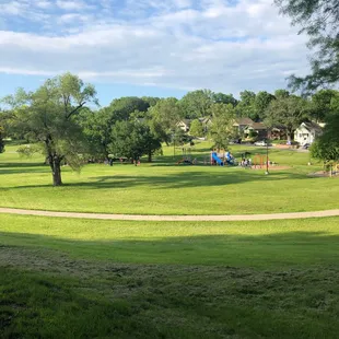 Beautiful night at the park