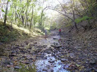 Mark L. McHenry Park
