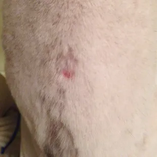 This is one of the cuts I found.