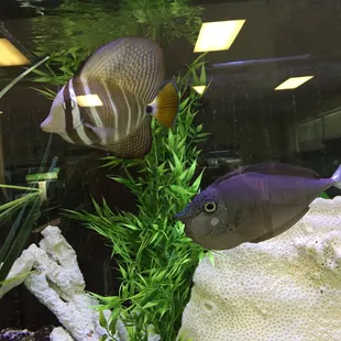 They were posing. :)