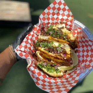 a person holding a plate of food