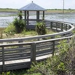 Boardwalk at Wetland Park