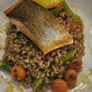 Salmon Bowl