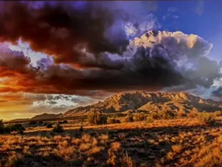 Sumner & Dene Gallery