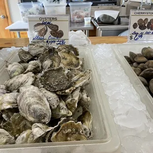 Salty raw NC oysters.