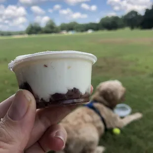 Kalamata olive schmear (see how it's just plain cream cheese on top of olives? Weird that it isn't blended more)