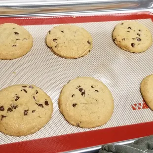 Fresh Baked Chocolate Chip Cookies
