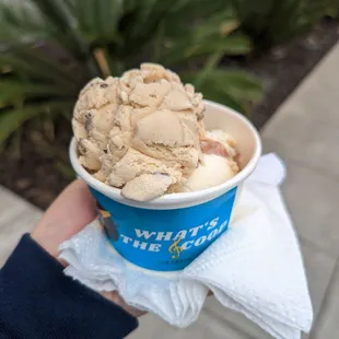 Black walnut and caramel praline