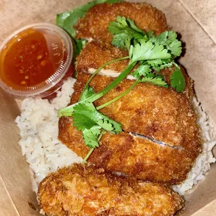 Chicken katsu ($13.95)